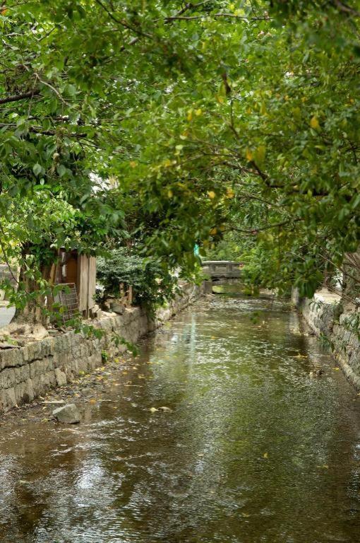 Kyoto Hatsune Hotel Eksteriør bilde